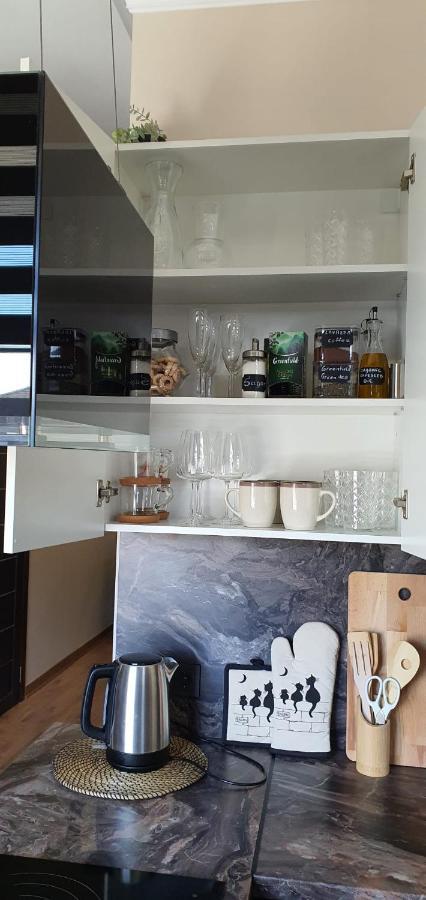 City Centre Apartment Rēzekne Kültér fotó